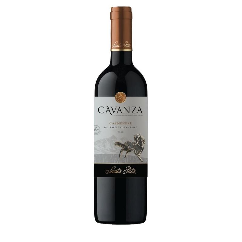 vinho-tinto-chileno-cavanza-carmenere