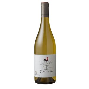 Vinho Chileno La Ronciere Cantoalba Chardonnay