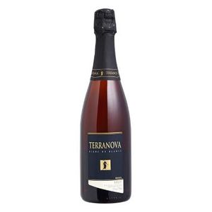 Espumante Brasileiro Terranova Brut