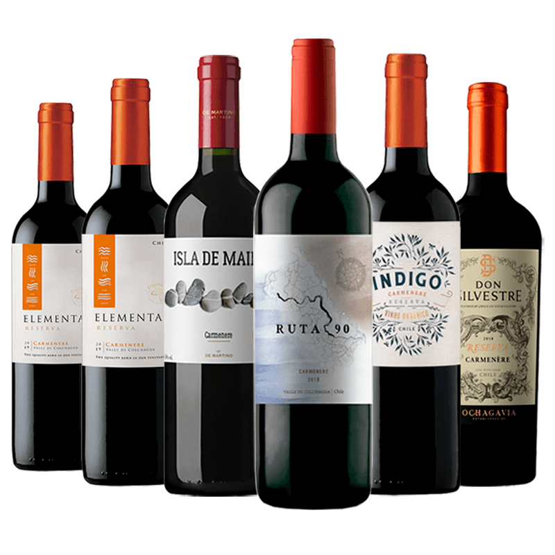 kit-6-garrafas-vinhos0tintos-chileno