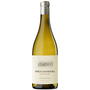 Vinho Branco Bodega Mustiguilo Finca Calvestra  Merseguera