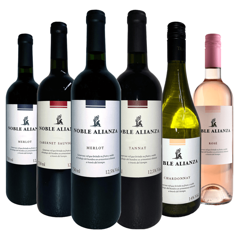kit-6-vinhos-noble-alianza