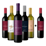 kit-degustacao-cruz-del-sur-compre-5-e-ganhe-1-cabernet-sauvignon