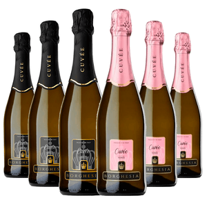 Kit 6 Espumante Italiano Borghesia Brut Branco e Rosé