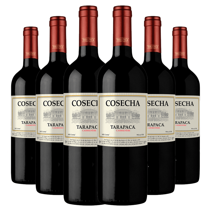 kit-6-garrafas-tarapaca-cosecha-carmenere