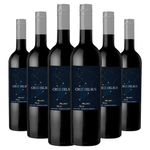 kit-6-garrafas-cruz-del-sur-malbec