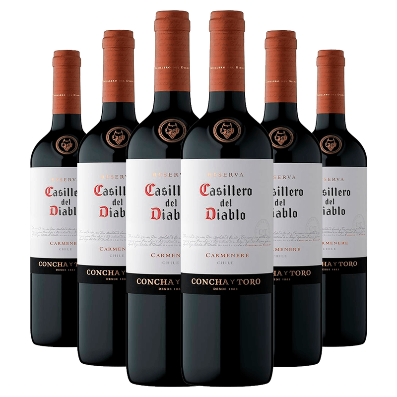 kit-6-garrafas-cassilero-del-diablo-carmenere