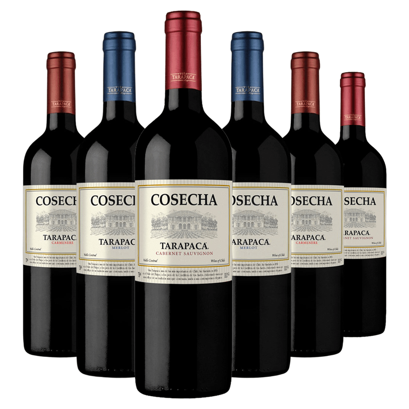 kit-tarapaca-cosecha-carmenere-cabernet-sauvignon-merlot