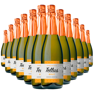 Kit 12 Garrafas Espumante Argentino Tellus Brut