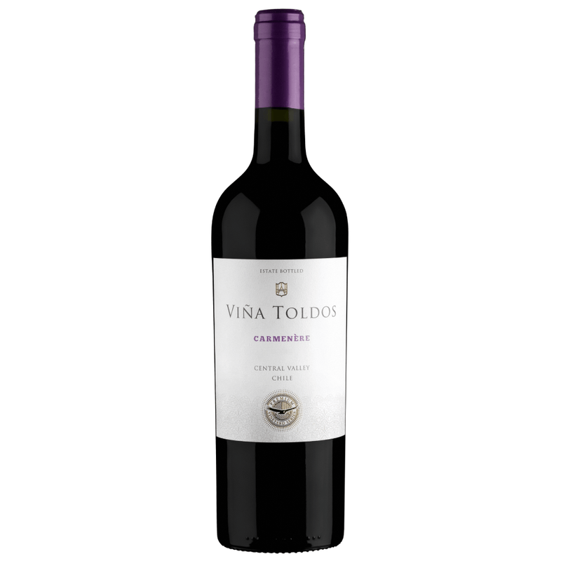 Vinho Ravanal Tinto Seco Chile Vina Toldos Carménère 750ml