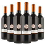 Kit-6-Garrafas-Vinho-Tolva-Carmenere