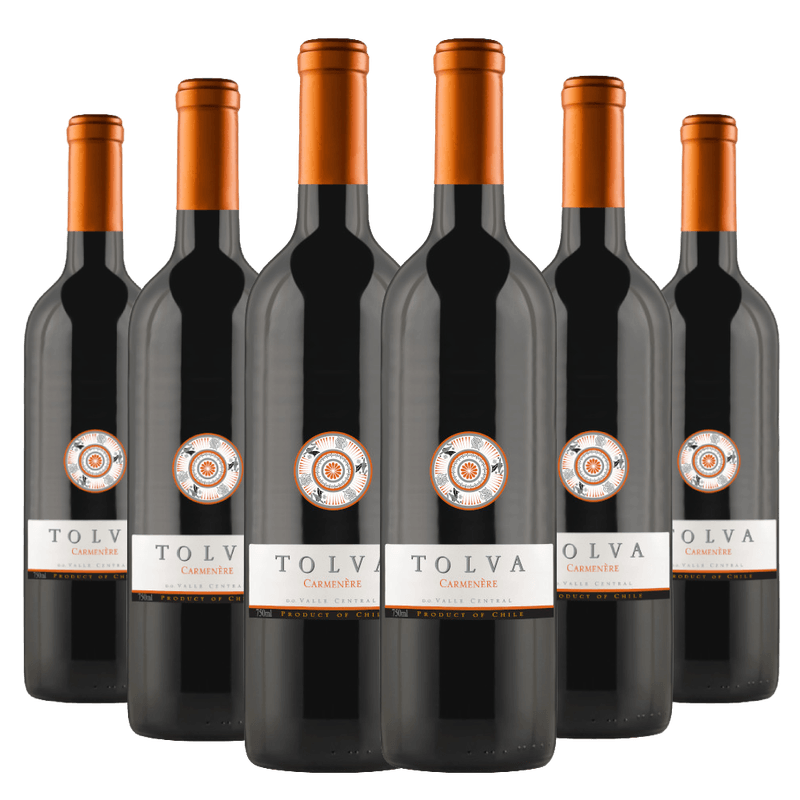 Kit-6-Garrafas-Vinho-Tolva-Carmenere