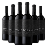 Kit-6-Garrafas-Vinho-Tolva-Reserva-Carmenere