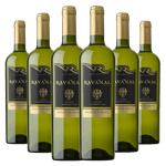 Kit-6-Garrafas-Ravanal-Sauvignon-Blanc