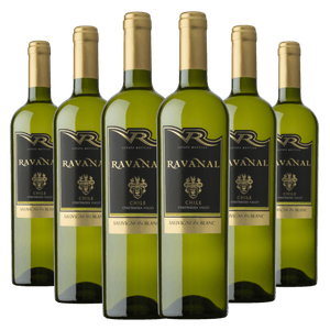 Kit 6 Garrafas Ravanal Sauvignon Blanc