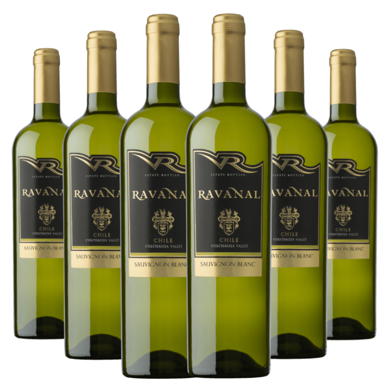 Kit-6-Garrafas-Ravanal-Sauvignon-Blanc