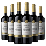 Caixa-Fechada-6-Garrafas-Tarapaca-Reserva-Carmenere