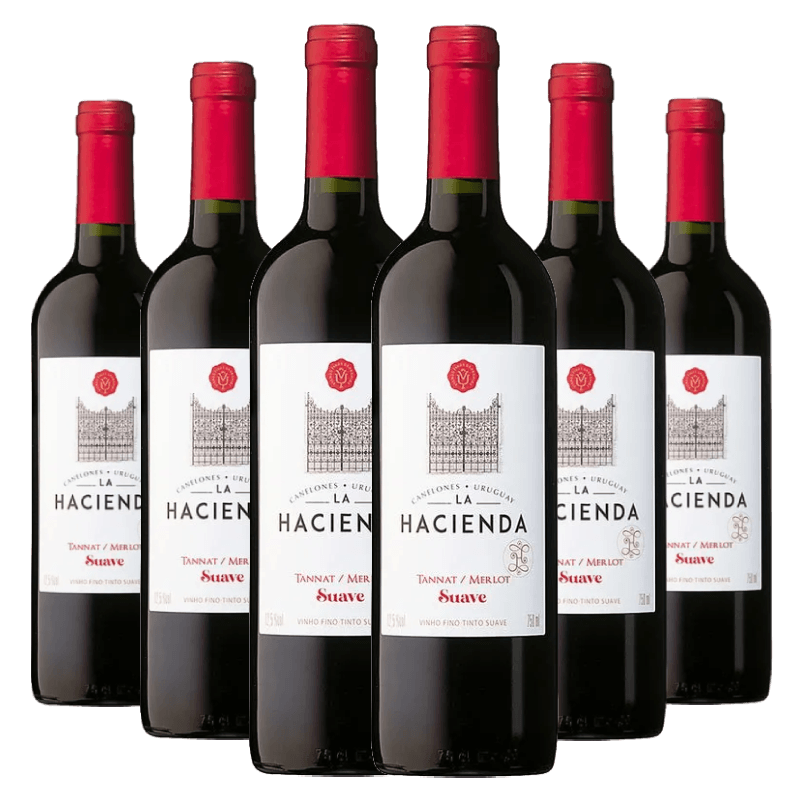 caixa-fechada-6-garrafas-la-hacienda-sweet-tannat-merlot-sku4010150