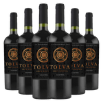 kit-caixa-fechada-6-garrafas-vinho-tolva-gran-reserva-carmenere-sku4010158