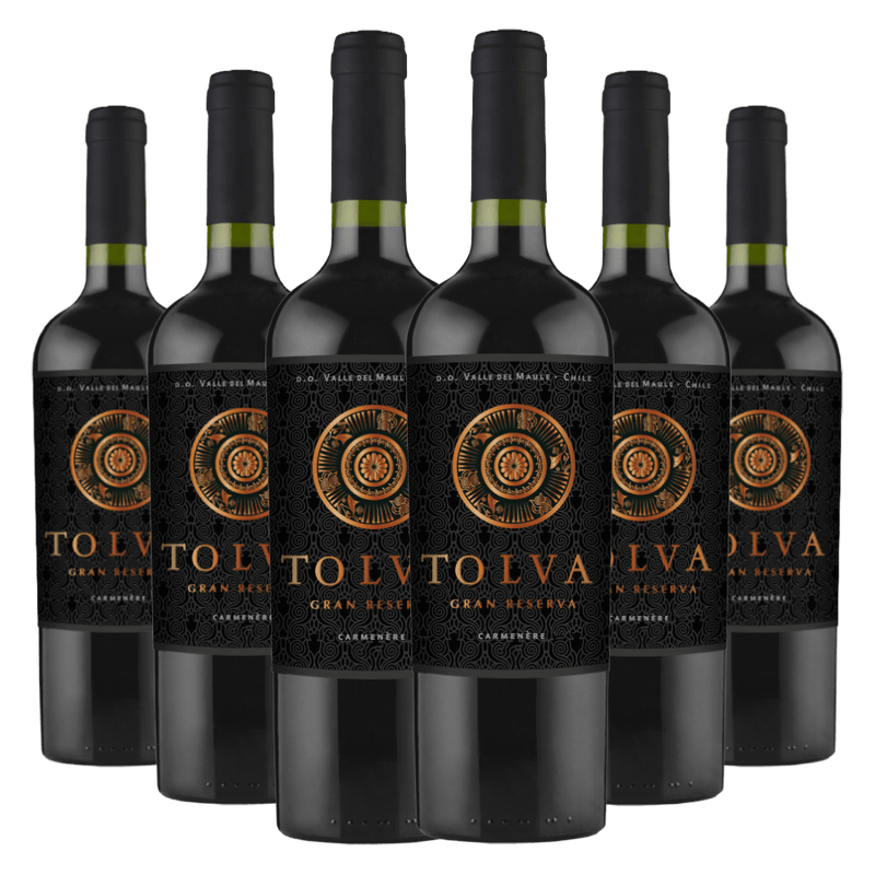 kit-caixa-fechada-6-garrafas-vinho-tolva-gran-reserva-carmenere-sku4010158