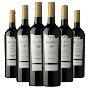 Kit Caixa Fechada 6 Garrafas Vinho Ravanal Gran Reserva Carménère