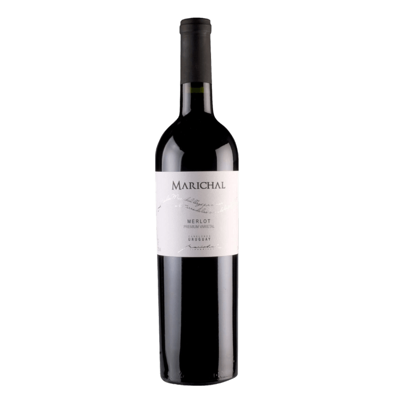 Vinho-Tinto-Uruguaio-Marichal-Marichal-Premium-Varietal-Merlot