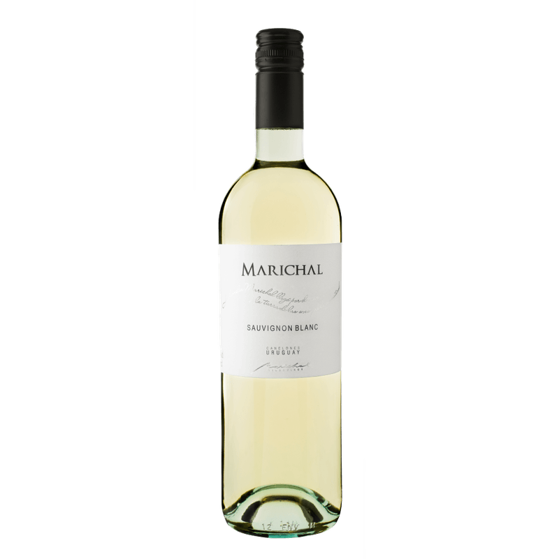 Vinho-Branco-Marichal-Sauvignon-Blanc