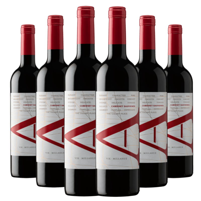 Kit-Caixa-Fechada-6-Garrafas-Vinho-Vik-A-Cabernet-Sauvignon