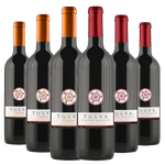 Kit-6-Garrafas-Vinho-Tolva-Carmenere-e-Cabernet-Saubignon