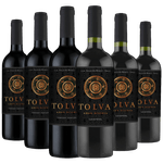 Kit-6-Garrafas-Vinho-Tolva-Gran-Reserva-Carmenere-e-Cabernet-Saubignon