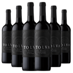 Kit-6-Garrafas-Vinho-Tolva-Reserva-Carmenere-e-Cabernet-Saubignon