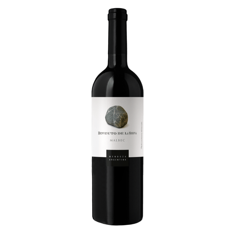 Vinho-Tinto-Argentino-Benvenuto-De-La-Serna-Malbec