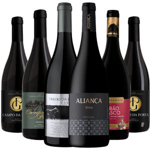 Kit 6 Garrafas Os Melhores Vinhos Do Dão