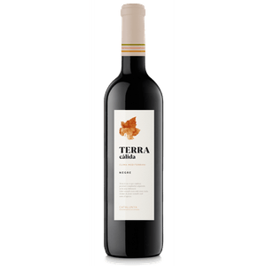 Vinho Tinto Espanhol Terra Calida