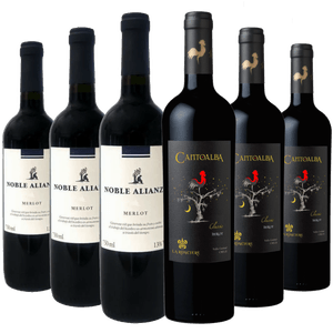 Kit 6 Vinhos Merlot