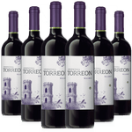 Kit-Caixa-Fechada-6-Vinhos-Torreon-Malbec