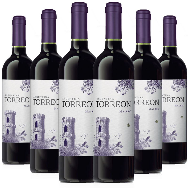 Kit-Caixa-Fechada-6-Vinhos-Torreon-Malbec