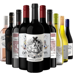 Kit 10 Vinhos Seleção Especial Chile e Argentina