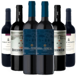 Kit-6-Vinhos-Tannat