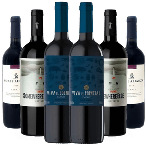 Kit 6 Vinhos Tannat