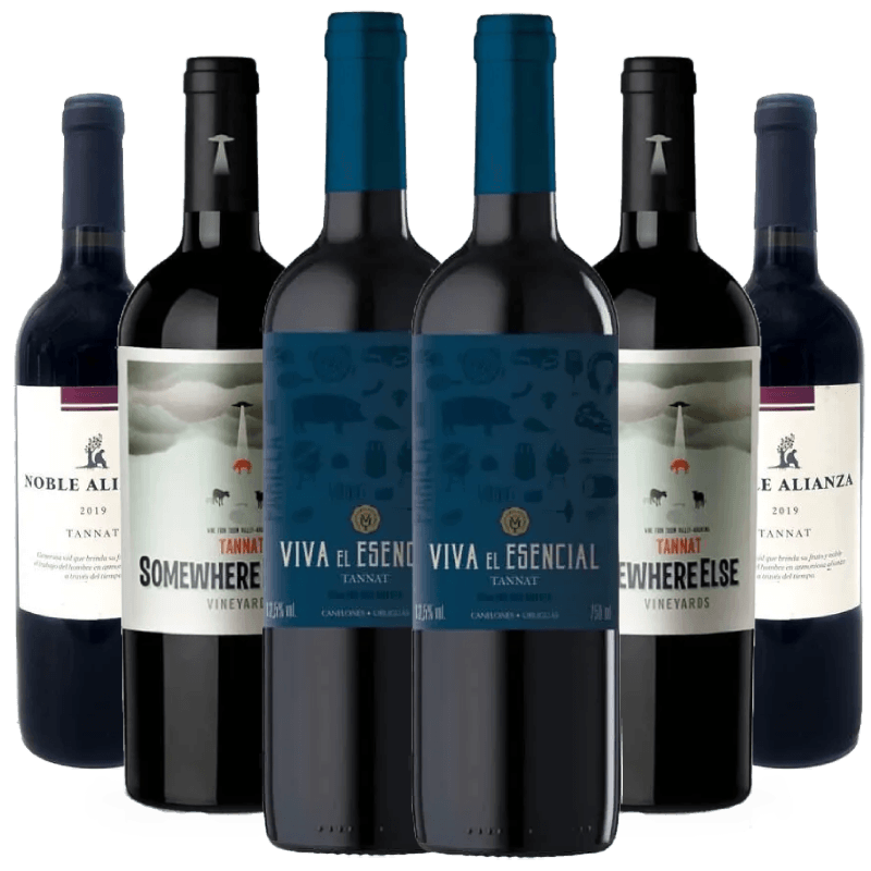 Kit-6-Vinhos-Tannat