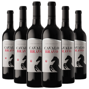 Kit 6 Vinhos Cavalo Bravo Tinto