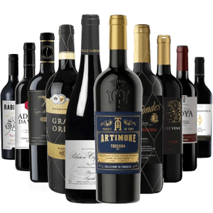 Kit 10 Vinhos Tintos Premium