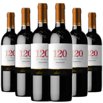 Kit-Caixa-Fechada-6-Garrafas-Santa-Rita-120-Carmenere