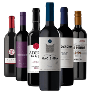 Kit 6 Vinhos Encorpados