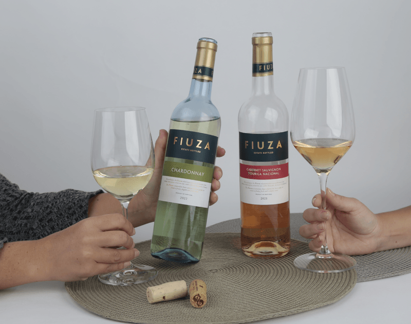 vinho-rose-fiuza-wines