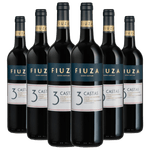Kit-Caixa-Fechada-6-Vinho-Tinto-Fiuza-3-Castas-Blend