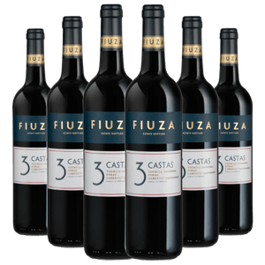 Kit Caixa Fechada 6 Vinho Tinto Fiuza 3 Castas Blend