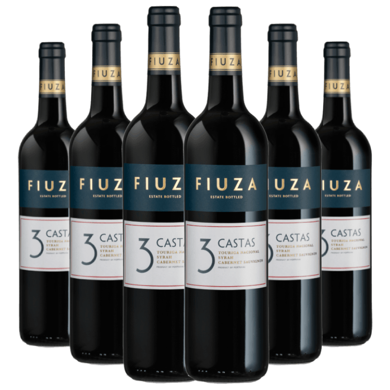 Kit-Caixa-Fechada-6-Vinho-Tinto-Fiuza-3-Castas-Blend