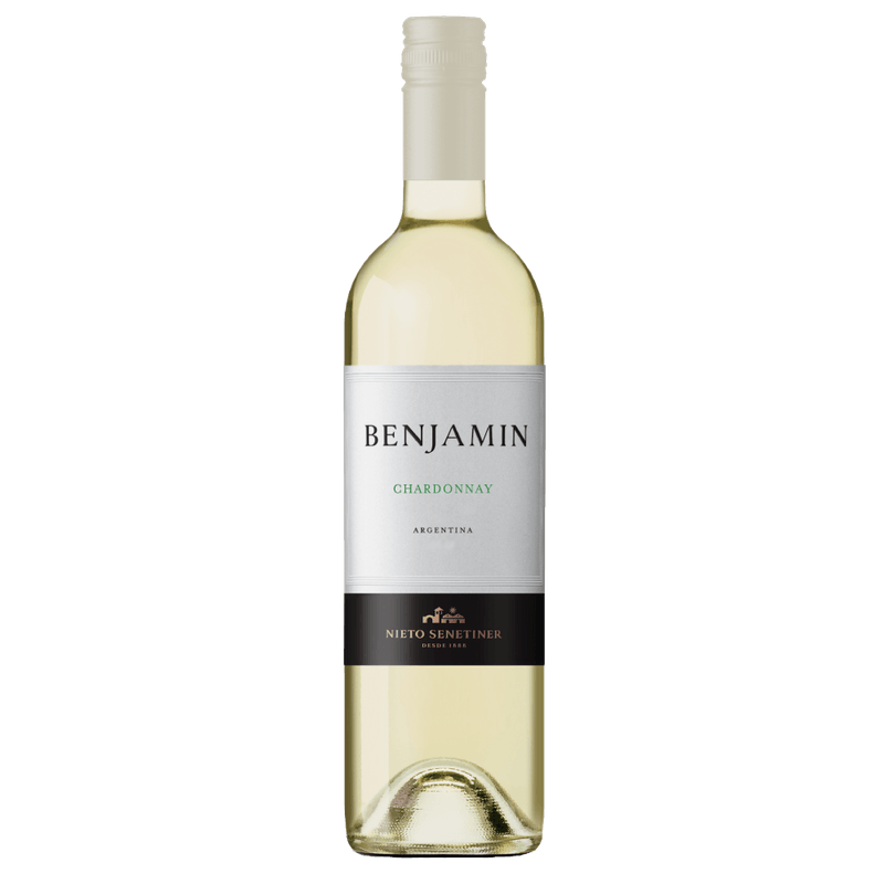 Vinho-Branco-Argentino-Benjamin-Chardonnay